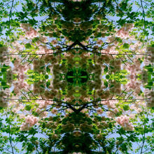 Spring Symmetry 9